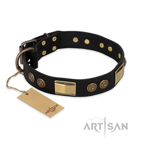 Decorated full grain leather dog collar for everyday use