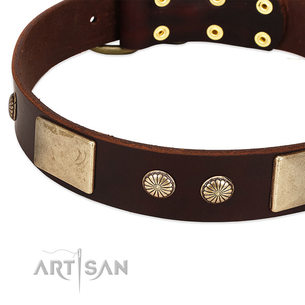 Durable adornments on genuine leather dog collar for your pet