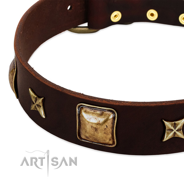Reliable hardware on full grain natural leather dog collar for your four-legged friend
