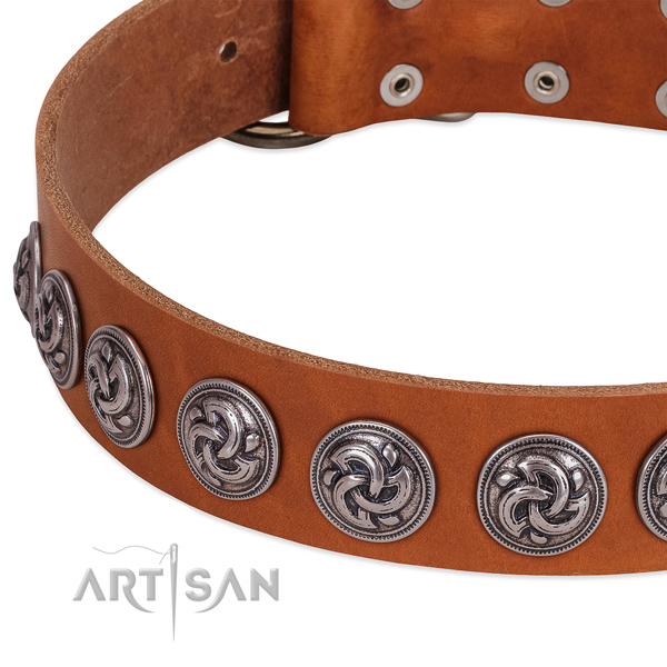 Amazing full grain natural leather collar for your canine stylish walks