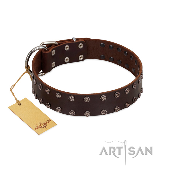 Easy wearing full grain natural leather dog collar with top notch decorations