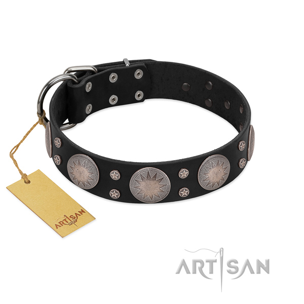 Fashionable studded full grain natural leather dog collar