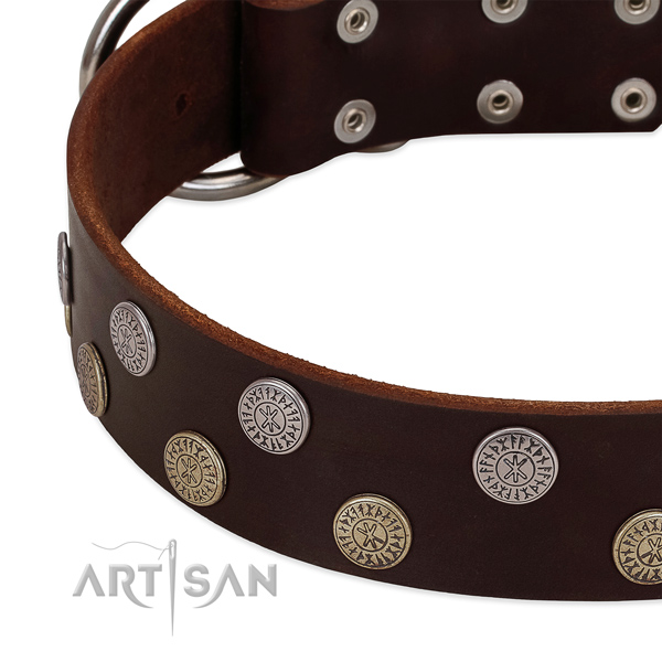 Top notch genuine leather collar for fancy walking your pet