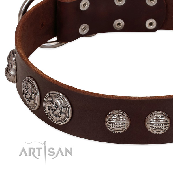 Rust-proof D-ring on genuine leather collar for daily walking your pet