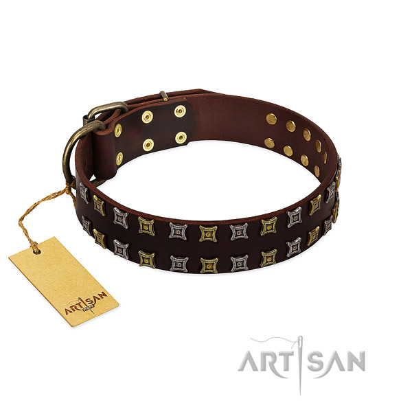 Soft to touch full grain genuine leather dog collar with decorations for your doggie
