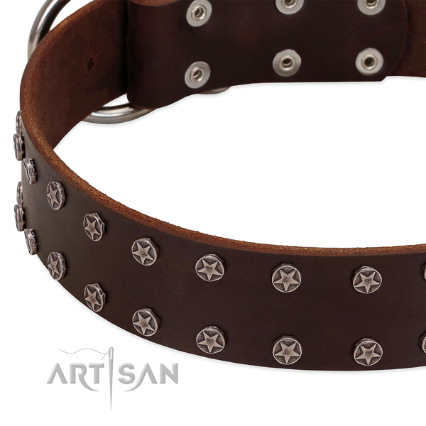 Reliable natural leather dog collar with adornments for your dog
