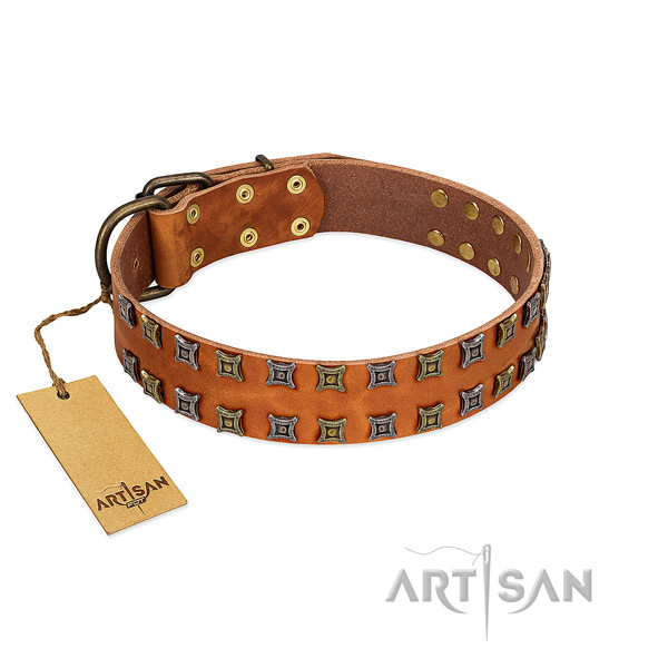 Strong full grain natural leather dog collar with studs for your doggie
