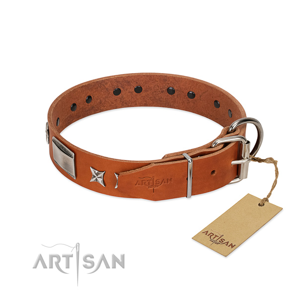 Embellished dog collar of genuine leather
