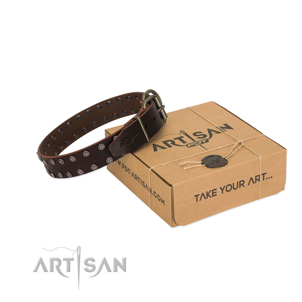 High quality full grain leather dog collar with embellishments for your handsome canine