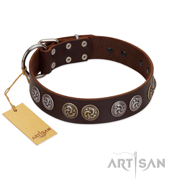 Durable traditional buckle on leather dog collar for walking