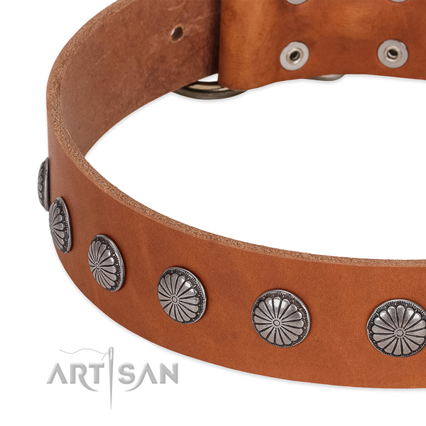 Top notch genuine leather dog collar with embellishments for walking