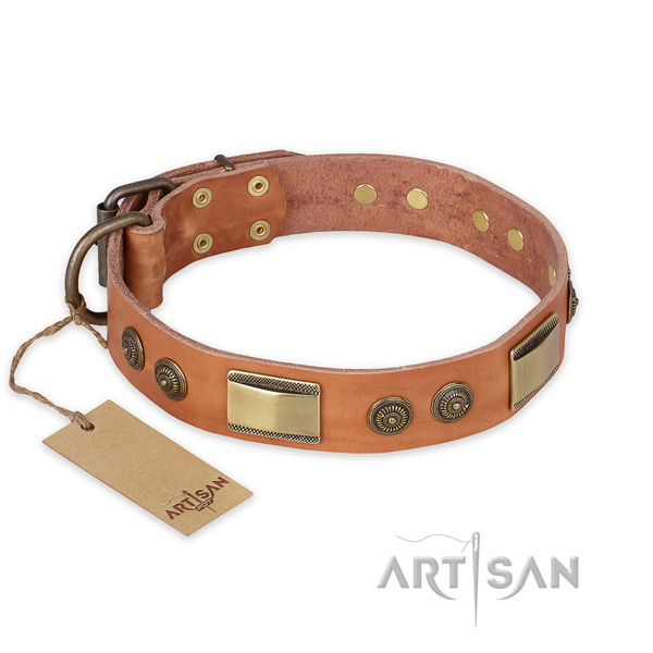 Unusual natural genuine leather dog collar for stylish walking