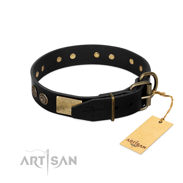 Strong adornments on full grain natural leather dog collar for your doggie