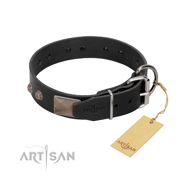 Exceptional full grain leather dog collar for stylish walking your doggie