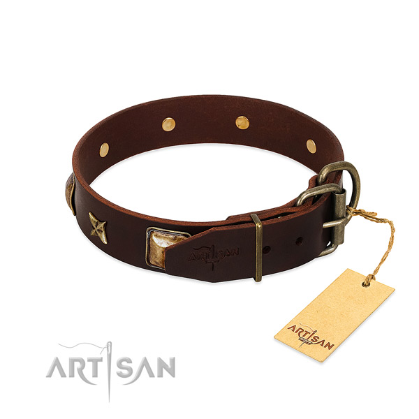 Genuine leather dog collar with reliable D-ring and adornments
