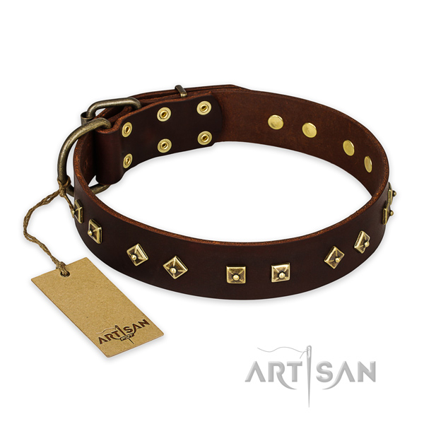Stylish full grain leather dog collar with rust-proof hardware