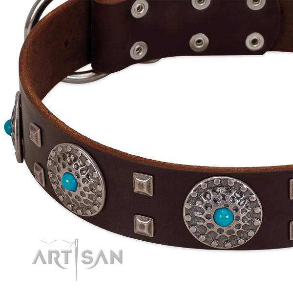 Best quality full grain leather dog collar with trendy adornments