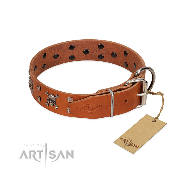 Stylish walking quality full grain genuine leather dog collar with studs