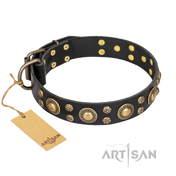 Basic training dog collar of quality full grain natural leather with decorations