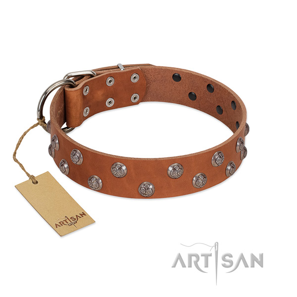 Amazing full grain leather dog collar with reliable hardware