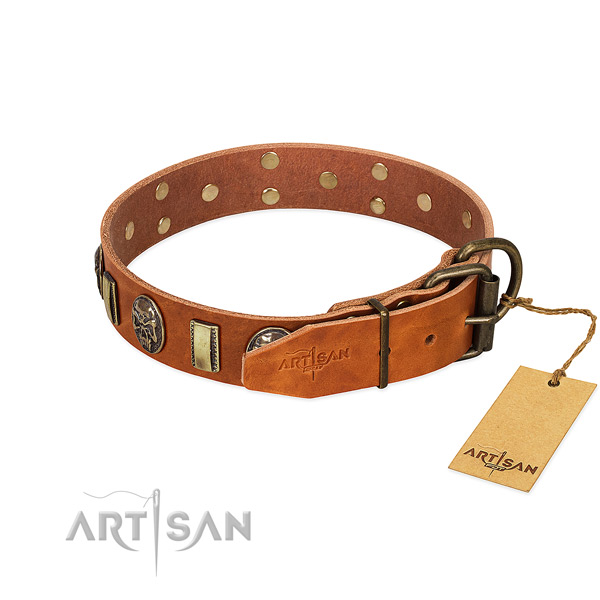 Rust resistant fittings on full grain leather collar for walking your pet