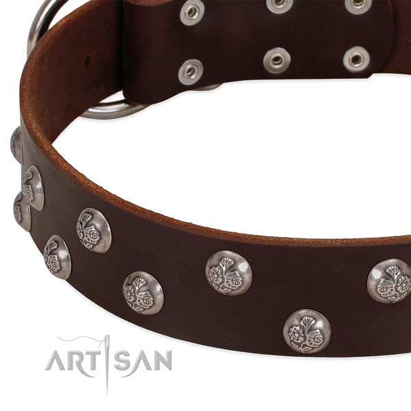 Genuine leather dog collar with strong fittings and embellishments
