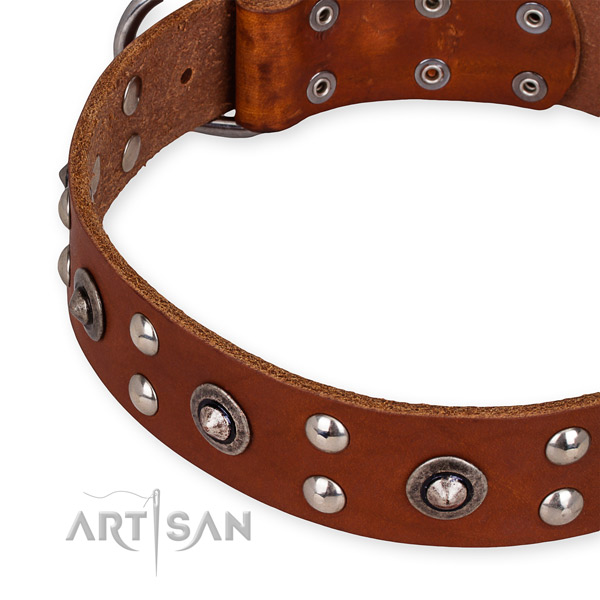 Full grain natural leather collar with rust resistant buckle for your impressive four-legged friend