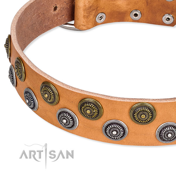 Comfy wearing adorned dog collar of fine quality genuine leather