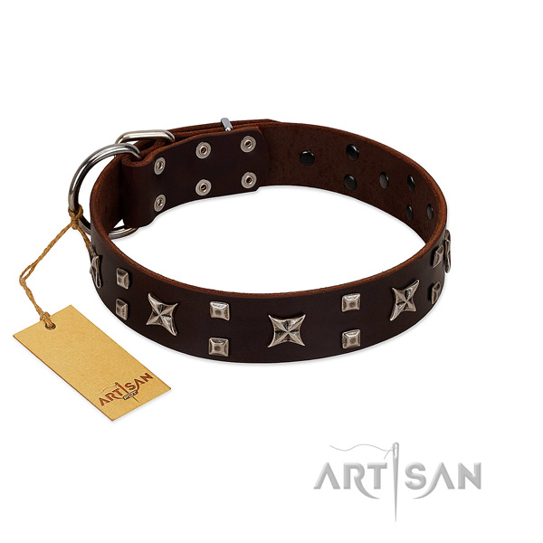 Reliable genuine leather dog collar with adornments for daily use