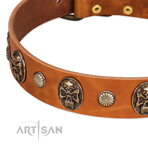 Reliable adornments on genuine leather dog collar for your dog
