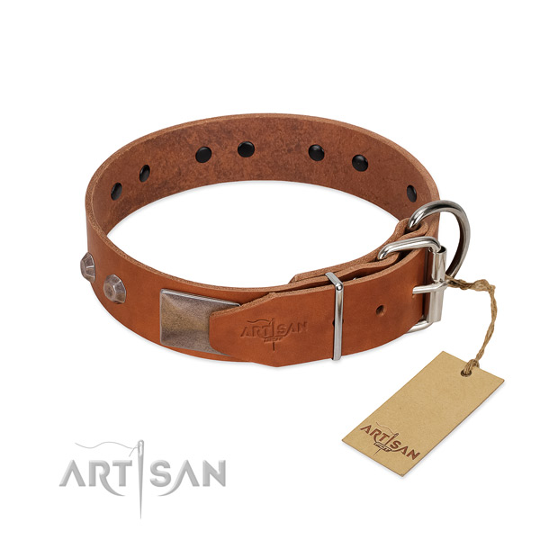 Top notch full grain leather dog collar for walking in style your canine