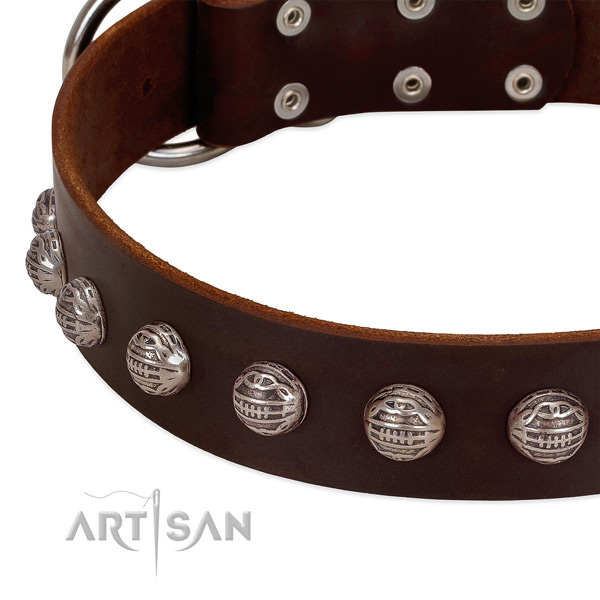 Top notch natural leather dog collar with durable embellishments
