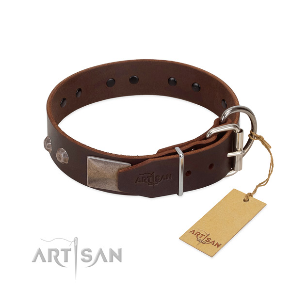 Extraordinary leather dog collar for walking your four-legged friend