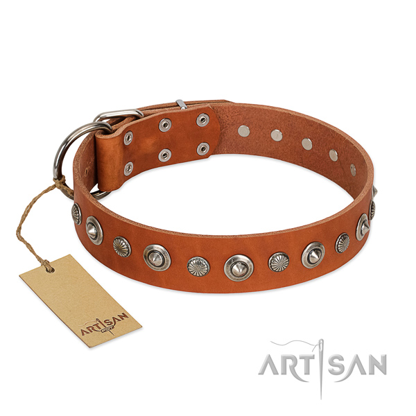 Top quality full grain genuine leather dog collar with stunning decorations