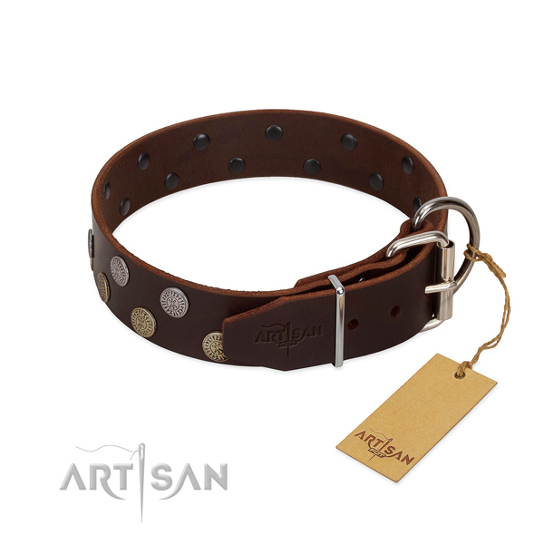 Corrosion proof buckle on genuine leather dog collar for everyday use