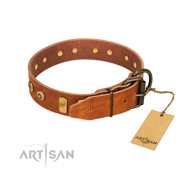 Amazing adorned full grain genuine leather dog collar of quality material