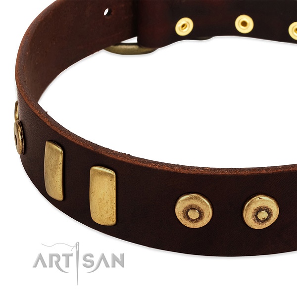 Quality full grain genuine leather collar with incredible adornments for your dog