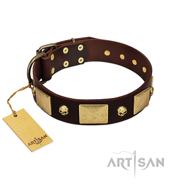Soft leather dog collar with rust resistant adornments