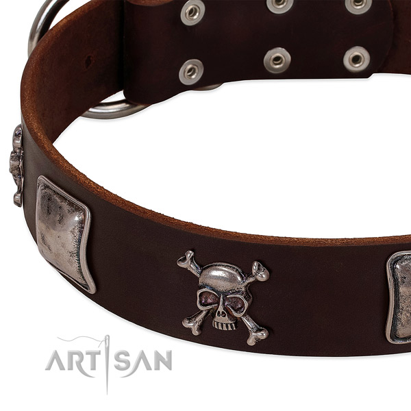 Rust-proof D-ring on genuine leather dog collar