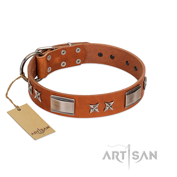 Handcrafted collar of genuine leather for your attractive four-legged friend
