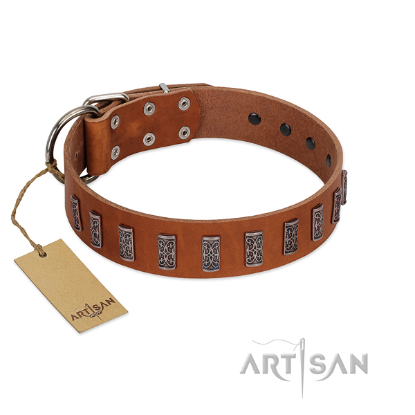 Top notch natural leather dog collar with reliable traditional buckle