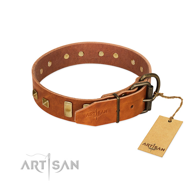 Quality leather dog collar with rust-proof fittings