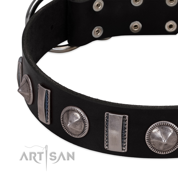 Exceptional adorned natural leather dog collar for walking