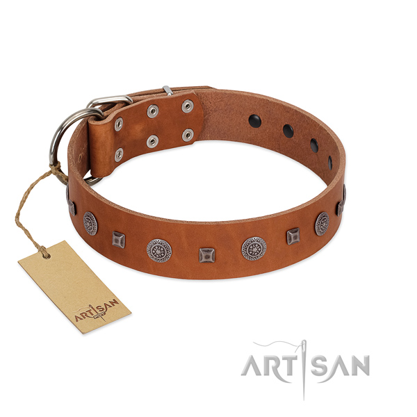 Rust-proof buckle on awesome genuine leather dog collar