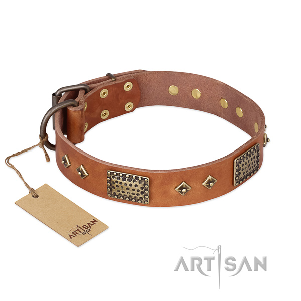 Studded leather dog collar for handy use