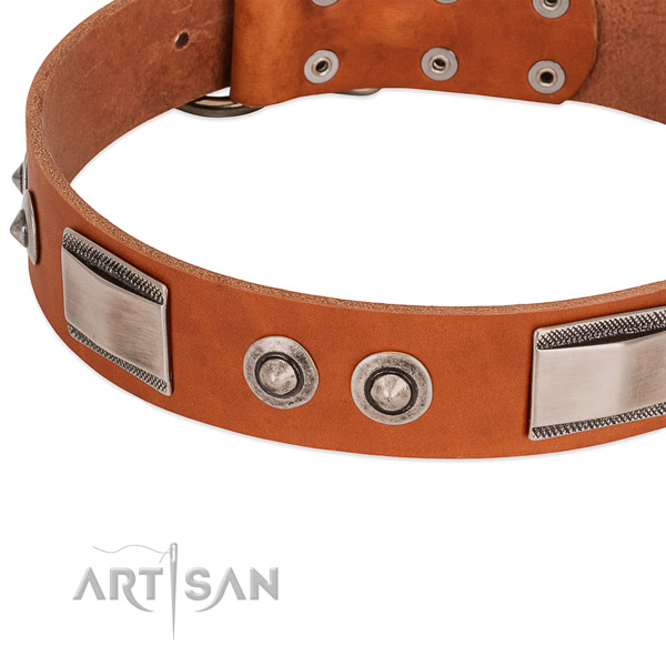 Amazing full grain genuine leather collar with studs for your doggie