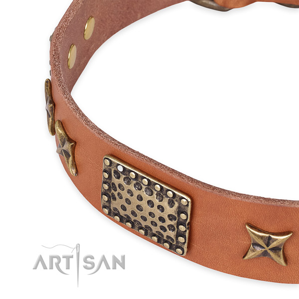 Full grain natural leather collar with rust-proof hardware for your impressive dog