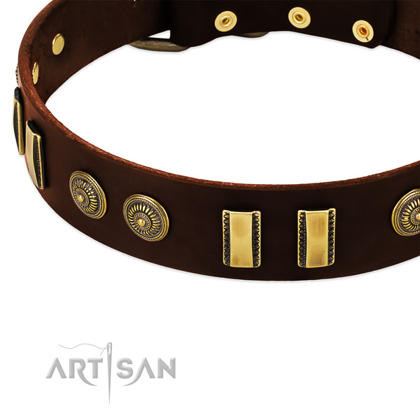 Corrosion resistant embellishments on natural leather dog collar for your doggie