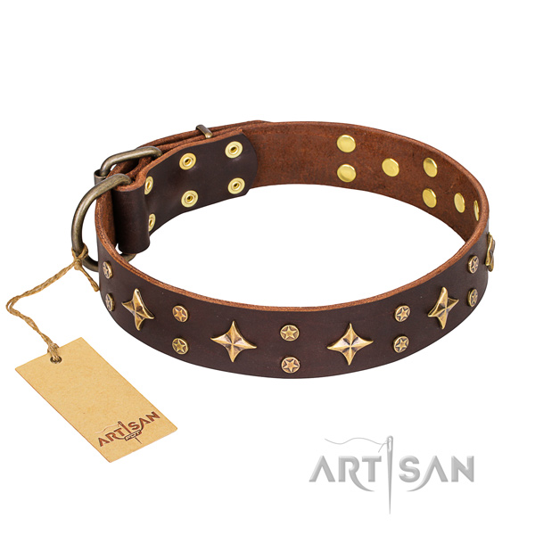 Everyday walking dog collar of reliable full grain natural leather with decorations