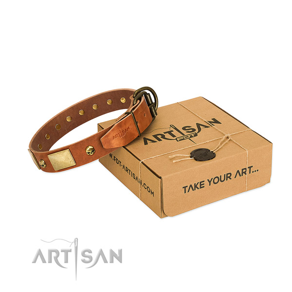 Durable genuine leather dog collar with impressive decorations